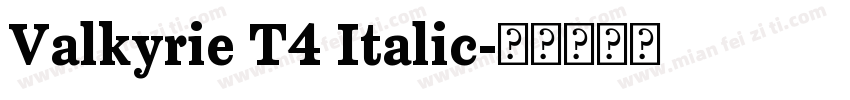 Valkyrie T4 Italic字体转换
